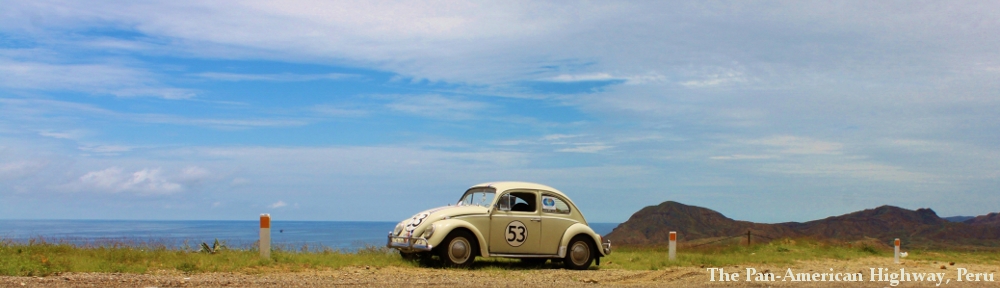 Herbie's World Tour