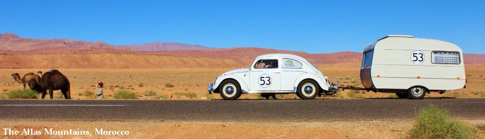 Herbie's World Tour