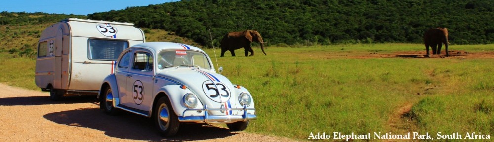 Herbie's World Tour