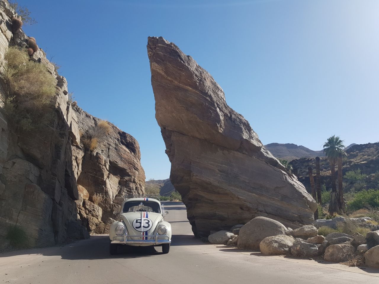 Herbie's World Tour | The Love Bug's Got The Travel Bug!
